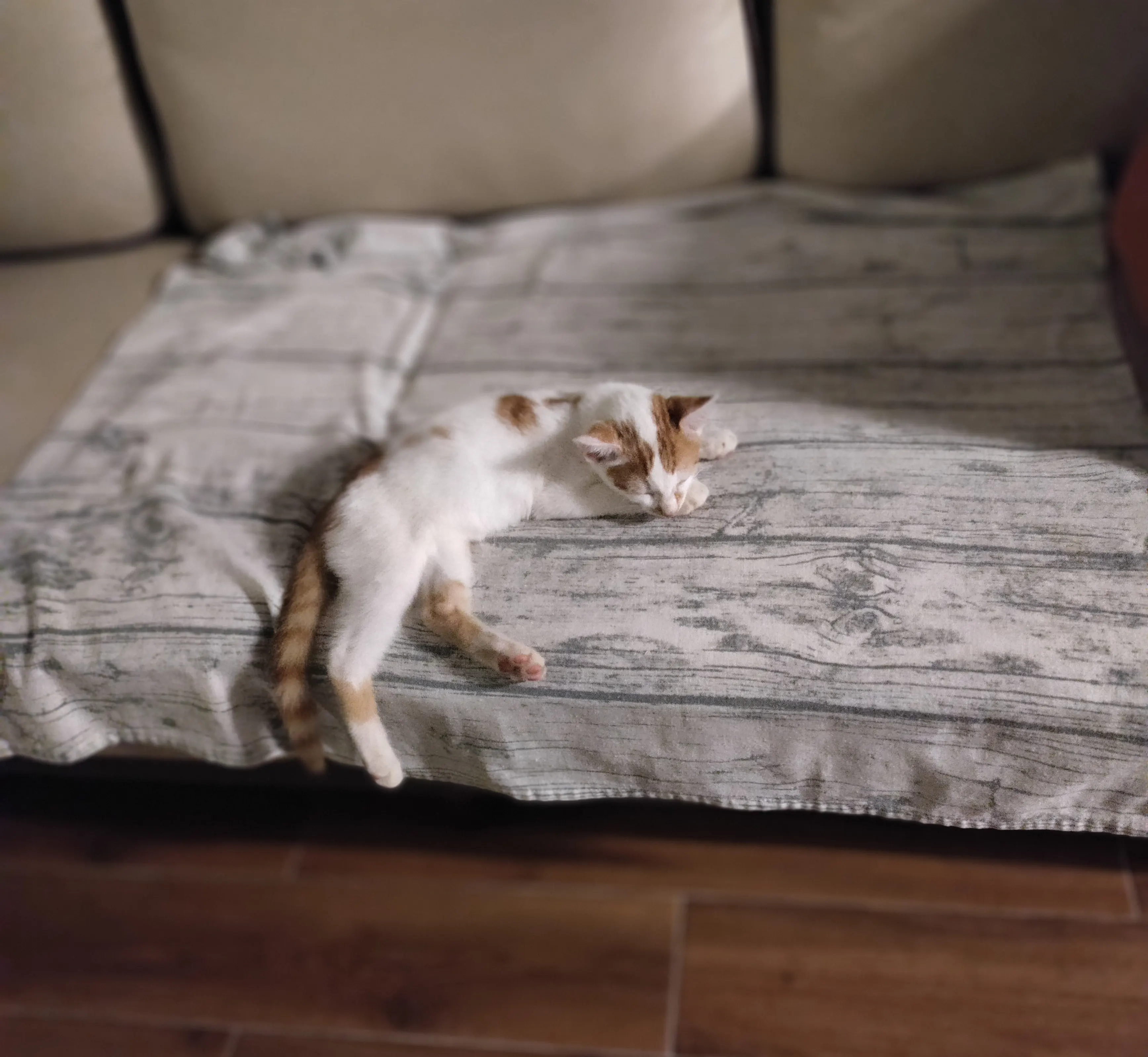 Cross sleeping